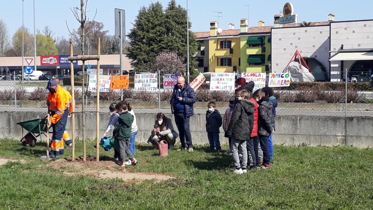San Donà. Primo giorno di Primavera: alle scuole Ancillotto i bambini piantano un frassino tutto loro - 