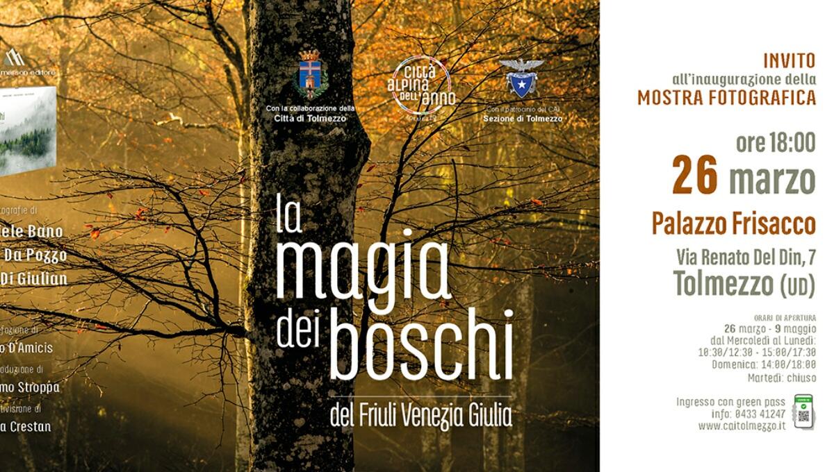 La Magia dei Boschi, un viaggio emozionale per immagini in mostra a Tolmezzo 26 maggio - 