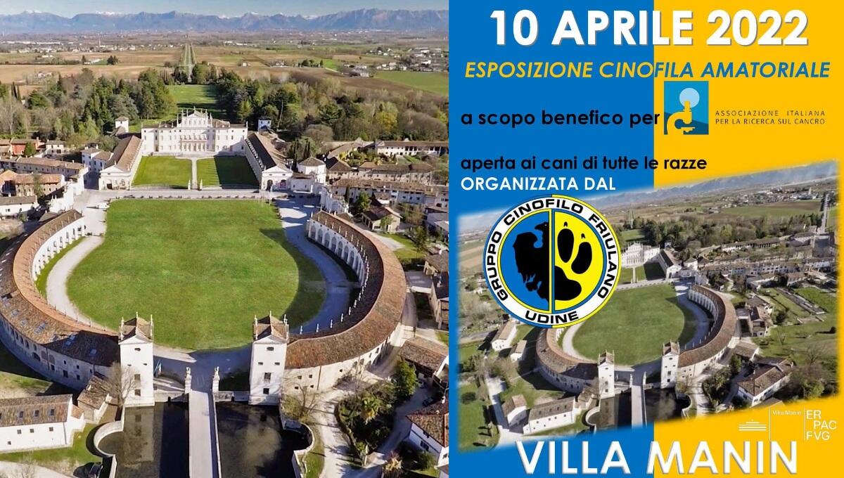 A Villa Manin un'esposizione cinofila amatoriale a scopo benefico - 