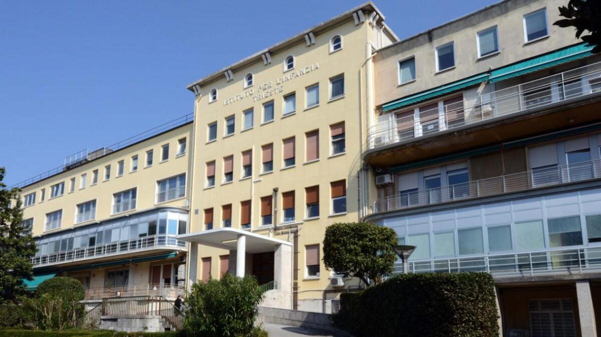 Studio del Burlo: alto numero casi di violenza sulle donne che hanno assistito minori durante la pandemia - 