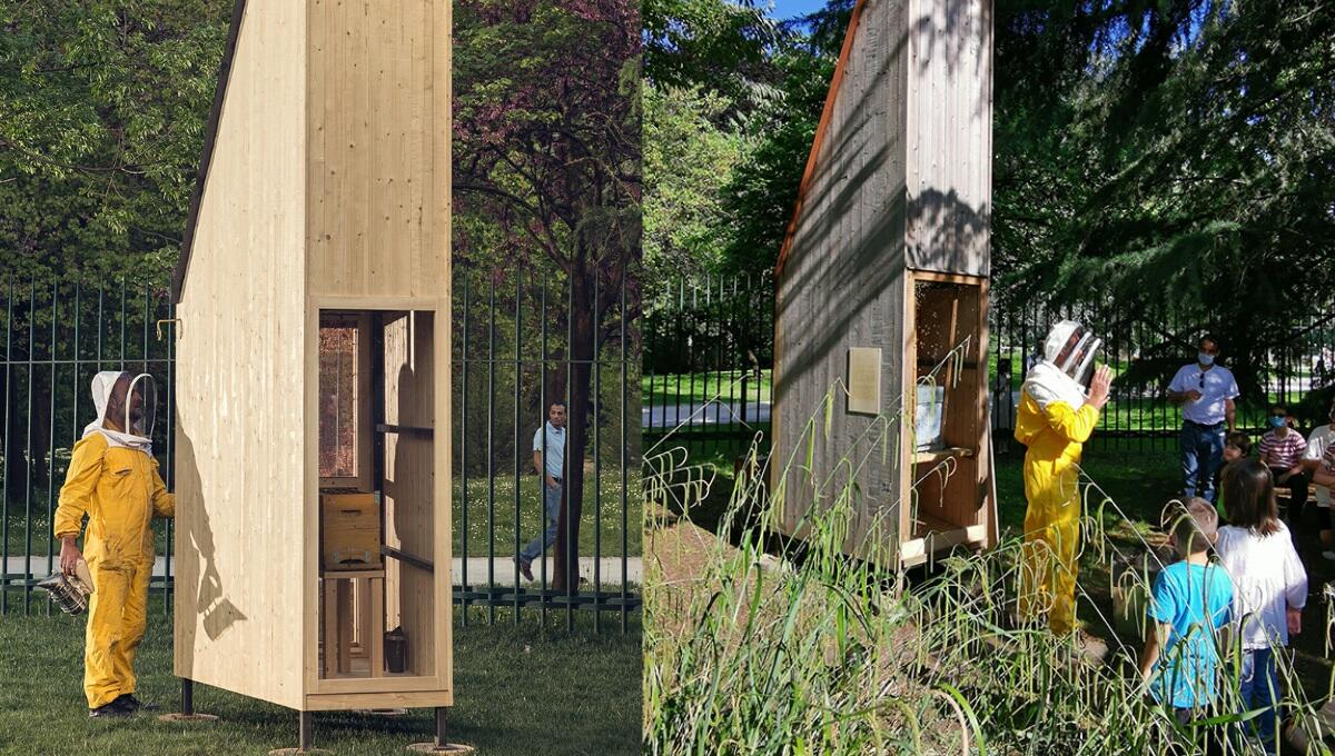 Monfalcone, Belforte lancia "Con le Api nel cuore" e laboratori didattici - 