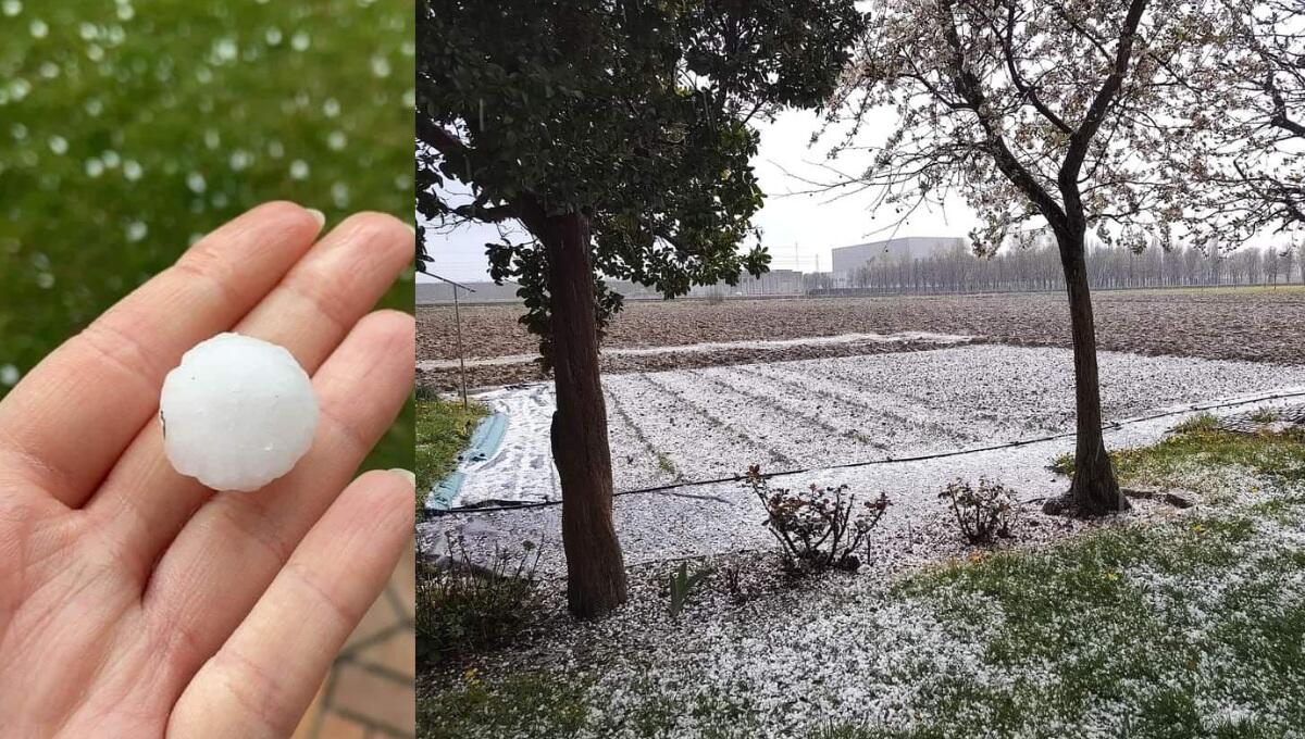 Grandinata fuori stagione, chicchi di ghiaccio come noci sulla Pedemontana veneta - 