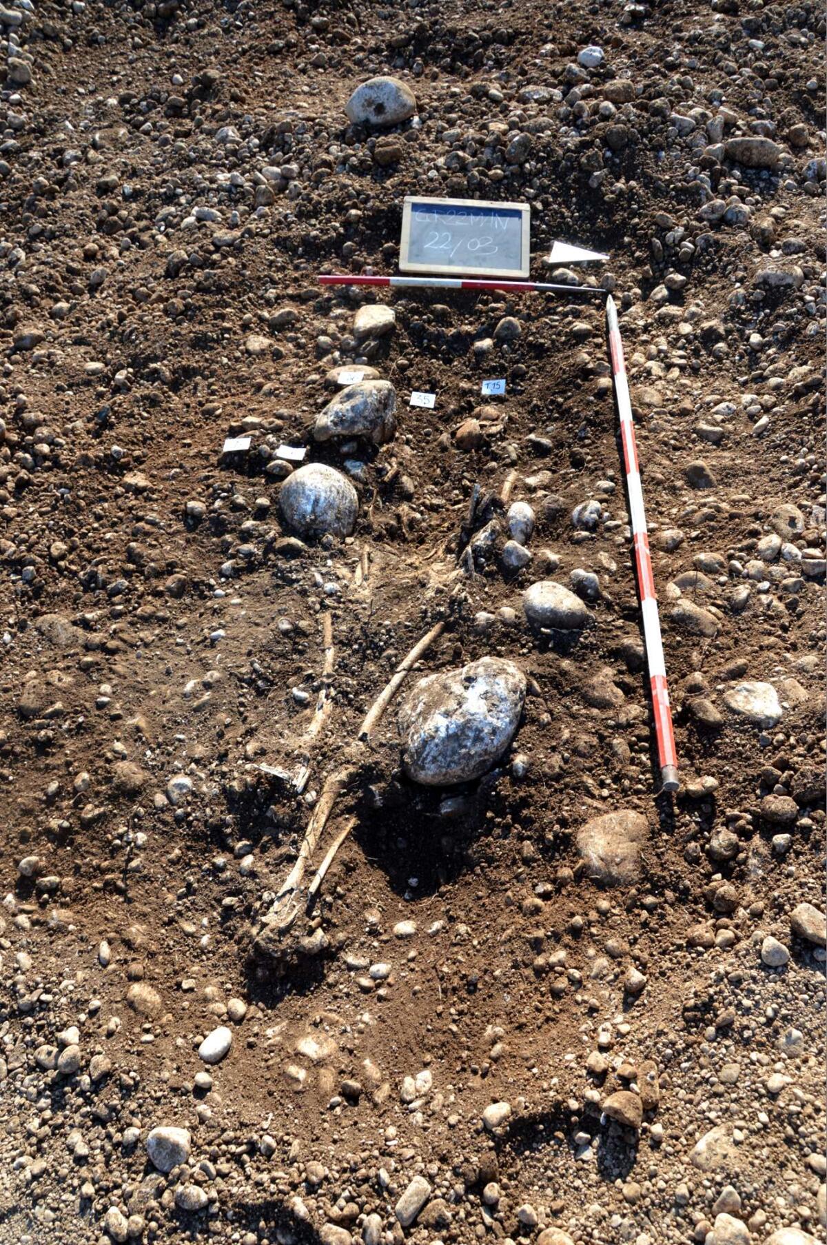 Cordenons (PN), località Manera: rinvenuta necropoli altomedievale - 