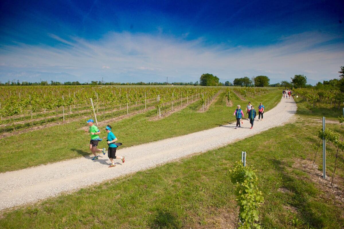 Casarsa: mezzo secolo di Marcia del Vino. Si corre il 1 maggio 2022 - 