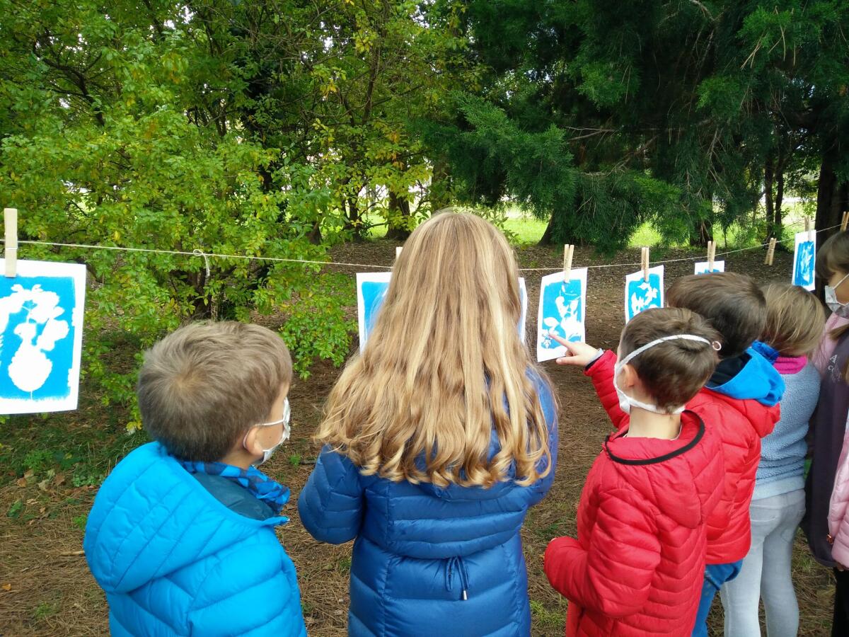 Giornata della Biodiversità, Kaleidoscienza regala ai più piccoli un sabato di giochi e letture - 