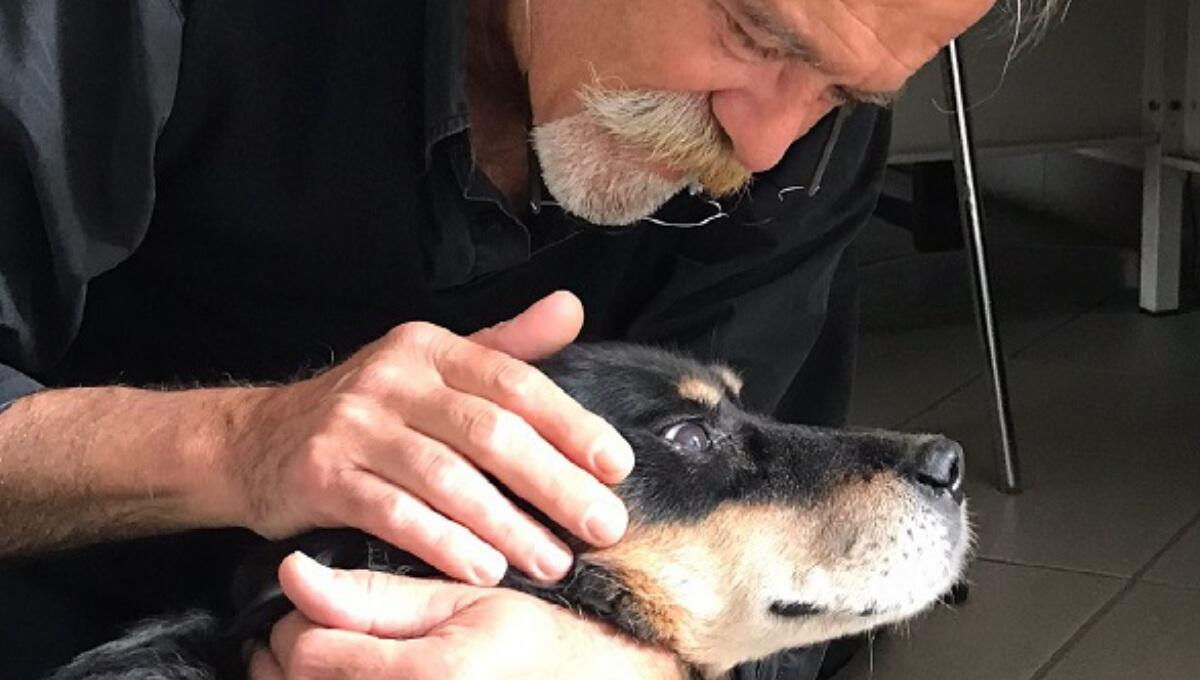 Riconsegnata alla famiglia dopo 13 anni: la storia del ritrovamento di Alba - 