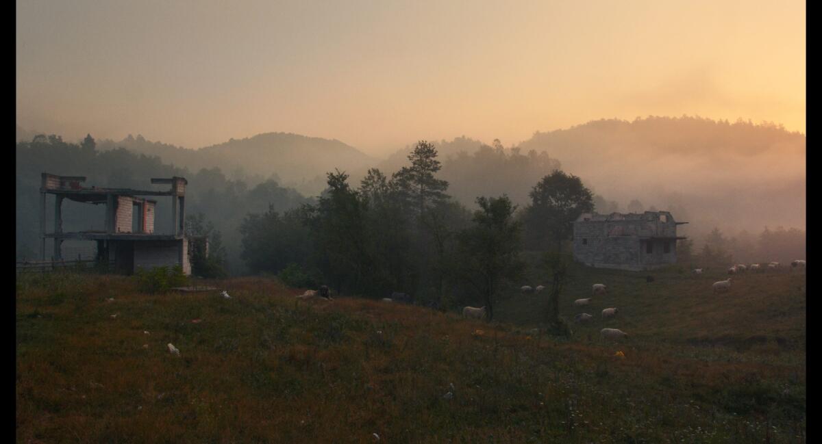 Lunedì 9 a Cinemazero è la volta di Brotherhood, vincitore del Pardo d'oro a Locarno - 