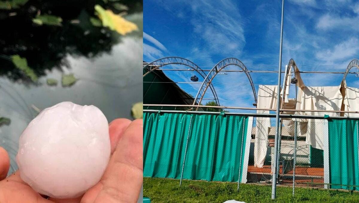 Maxi grandinata, stato di calamità negato a Fiume Veneto Azzano Decimo e Chions - 