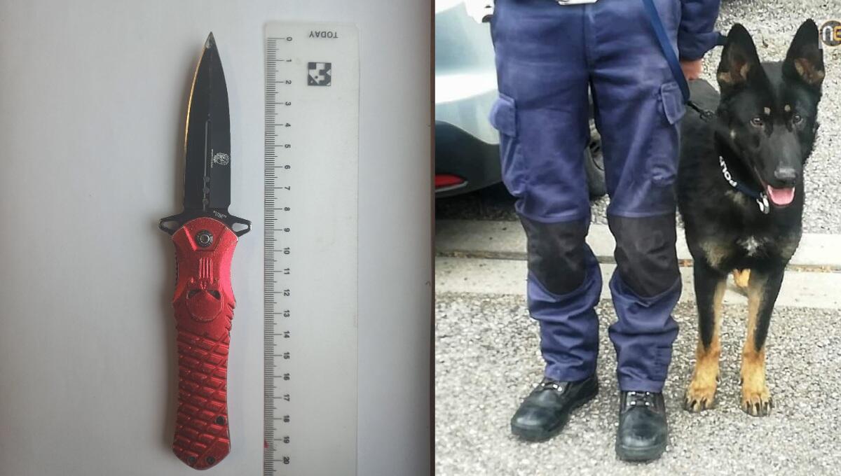 Al Terminal studenti di Udine con coltello a serramanico: 17enne denunciato - 