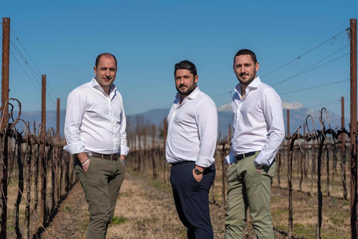 Una nuova cantina in Fvg: nasce Aganis, il progetto dei fratelli del Raboso - 