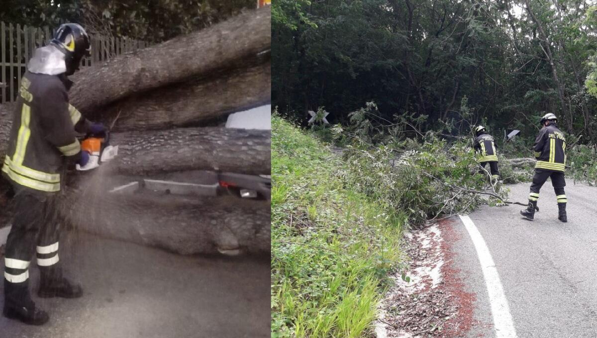 Forte vento e pioggia in Fvg: 80 interventi dei pompieri in 10 ore - 