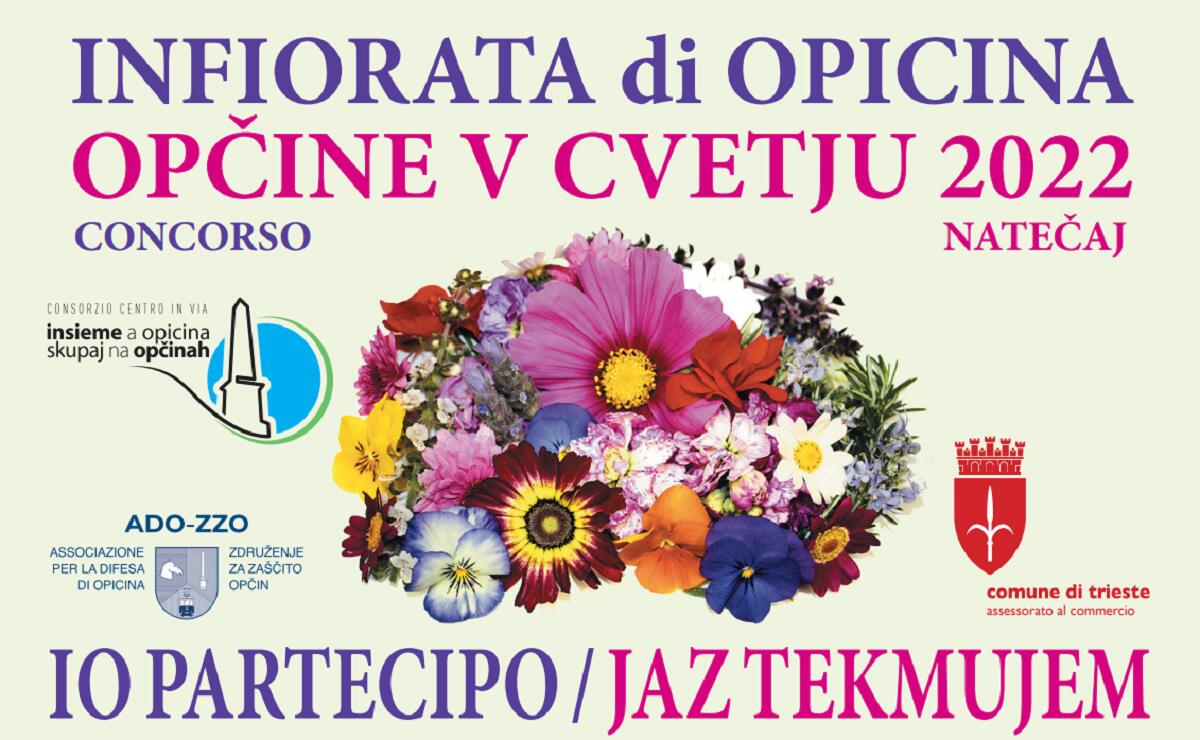 “Infiorata di Opicina 2022”, aperte fino al 31 maggio le iscrizioni gratuite - 