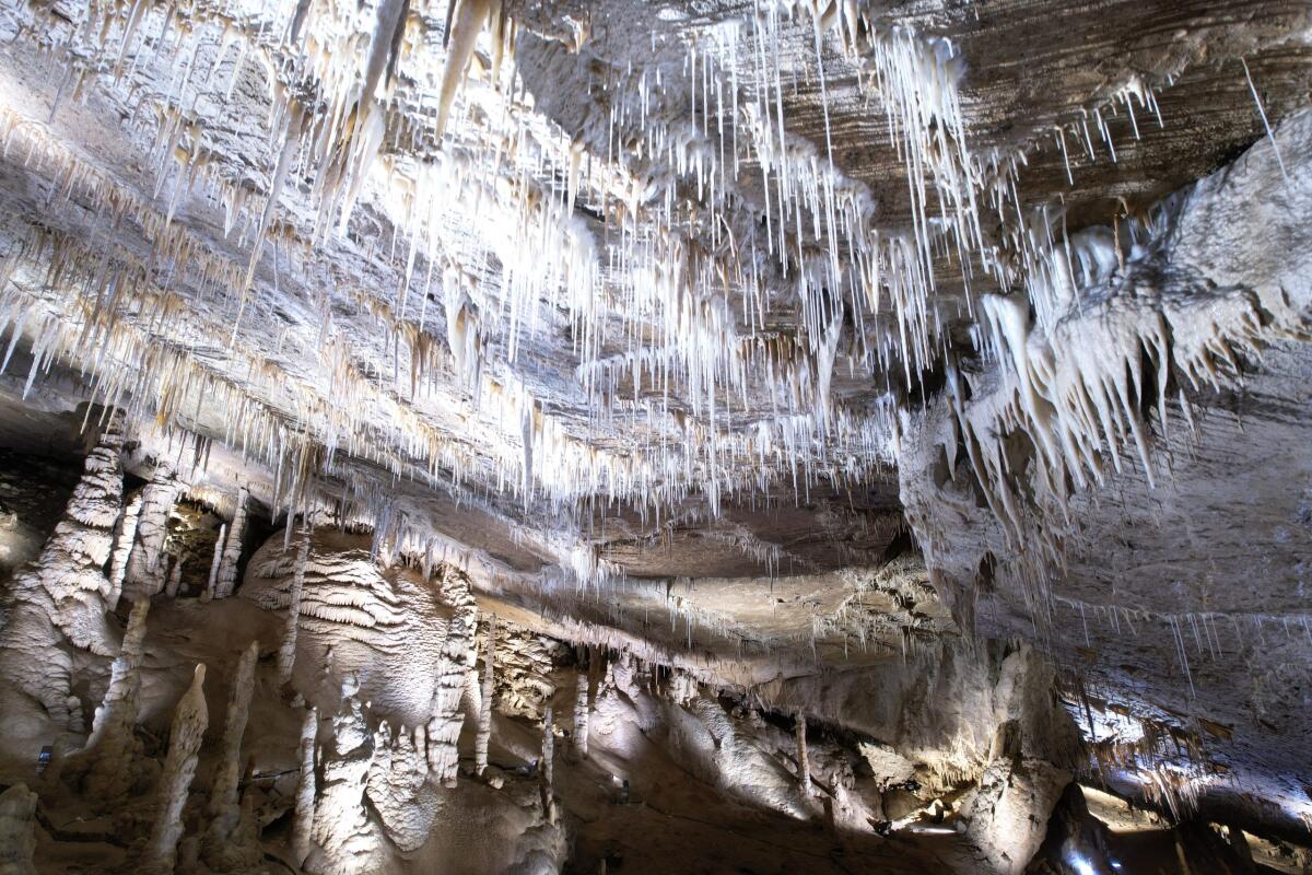 Inaugurazione del nuovo percorso turistico delle Grotte di Villanova - 