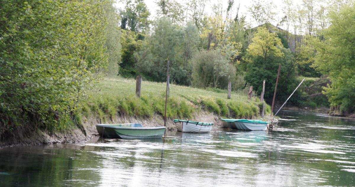 Pordenone, un Contratto per valorizzare il Noncello - 