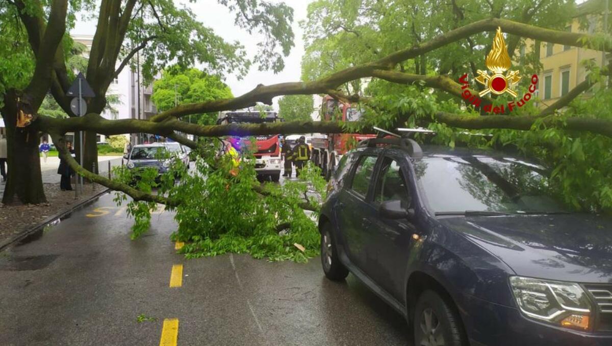 Grosso ramo si stacca e cade su un'auto in transito - 