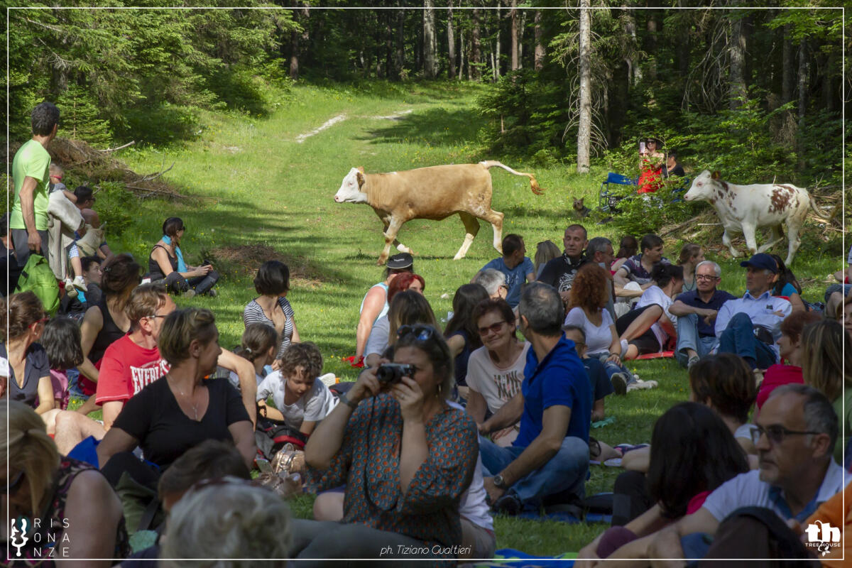 Risonanze, il festival del “legno che suona”: grande musica, artigianato e benessere in natura  - 