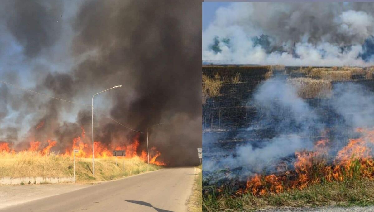 Quattro incendi di vegetazione in Fvg in poche ore: ecco dove - 