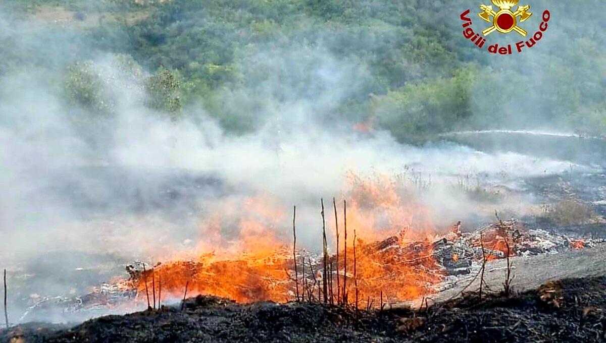Ancora un incendio di vegetazione: fiamme su una superficie di 4000 mq - 