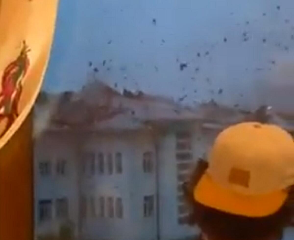 Maltempo, a Cortina d'Ampezzo scoperchiato il tetto della scuola elementare - 