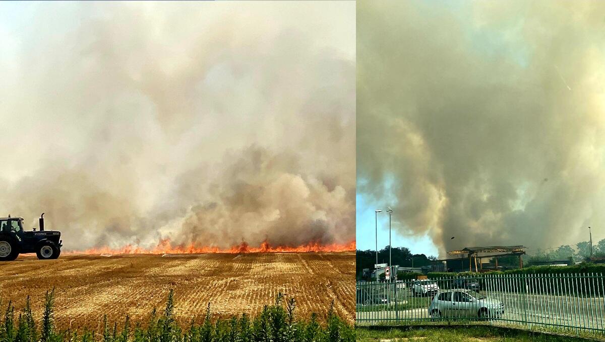Incendio a Manzano, a fuoco un campo: alta colonna di fumo nel cielo - 