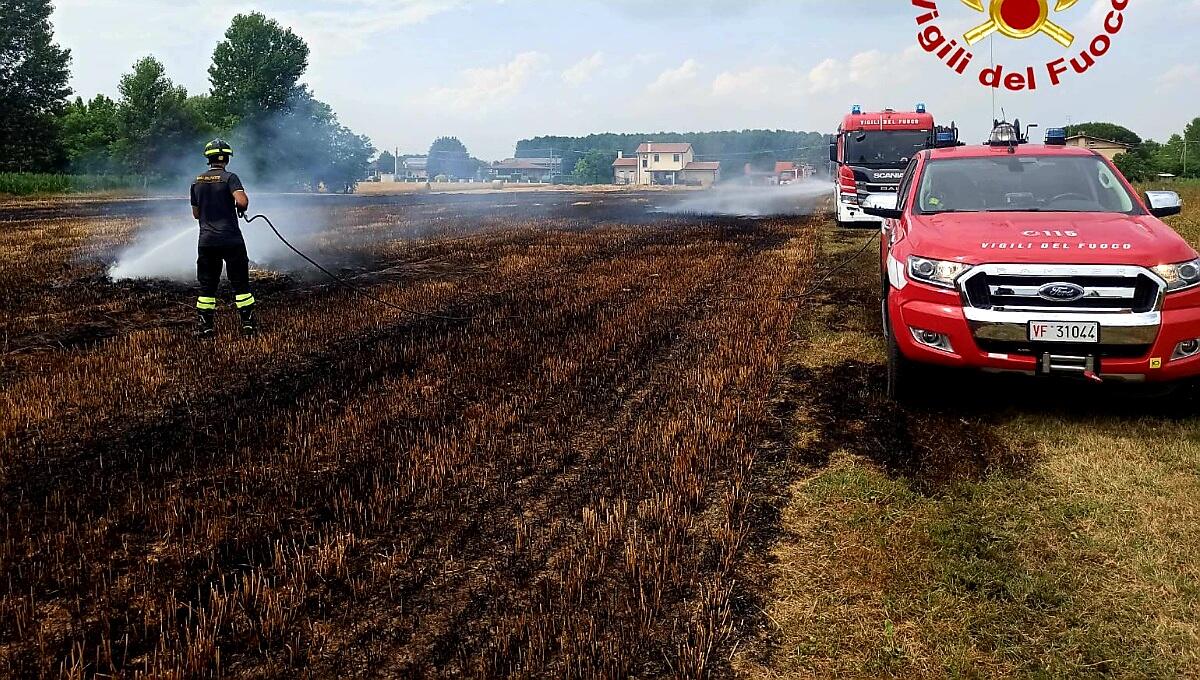 A fuoco un campo agricolo a Zero Branco (TV): intervento dei pompieri - 