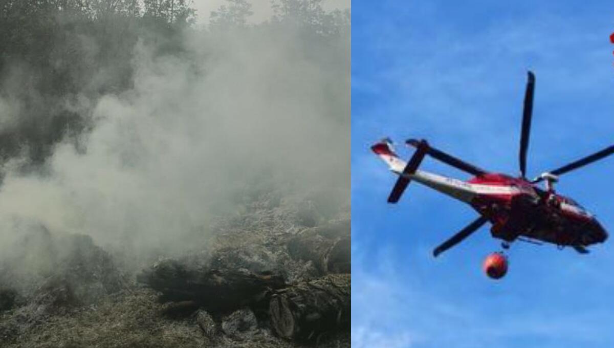 Siccità, bosco divorato dalle fiamme, mezzo aereo in volo per spegnere l'incendio - 
