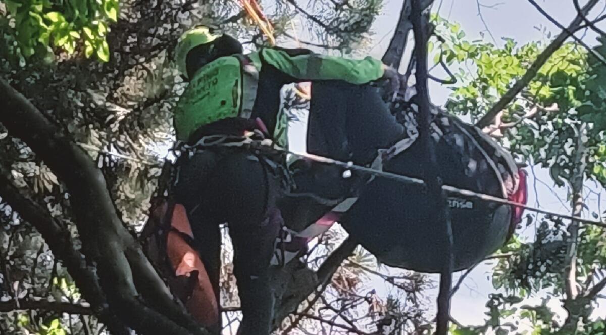 Precipita con il parapendio tra gli alberi poco dopo il decollo: soccorso 23enne - 