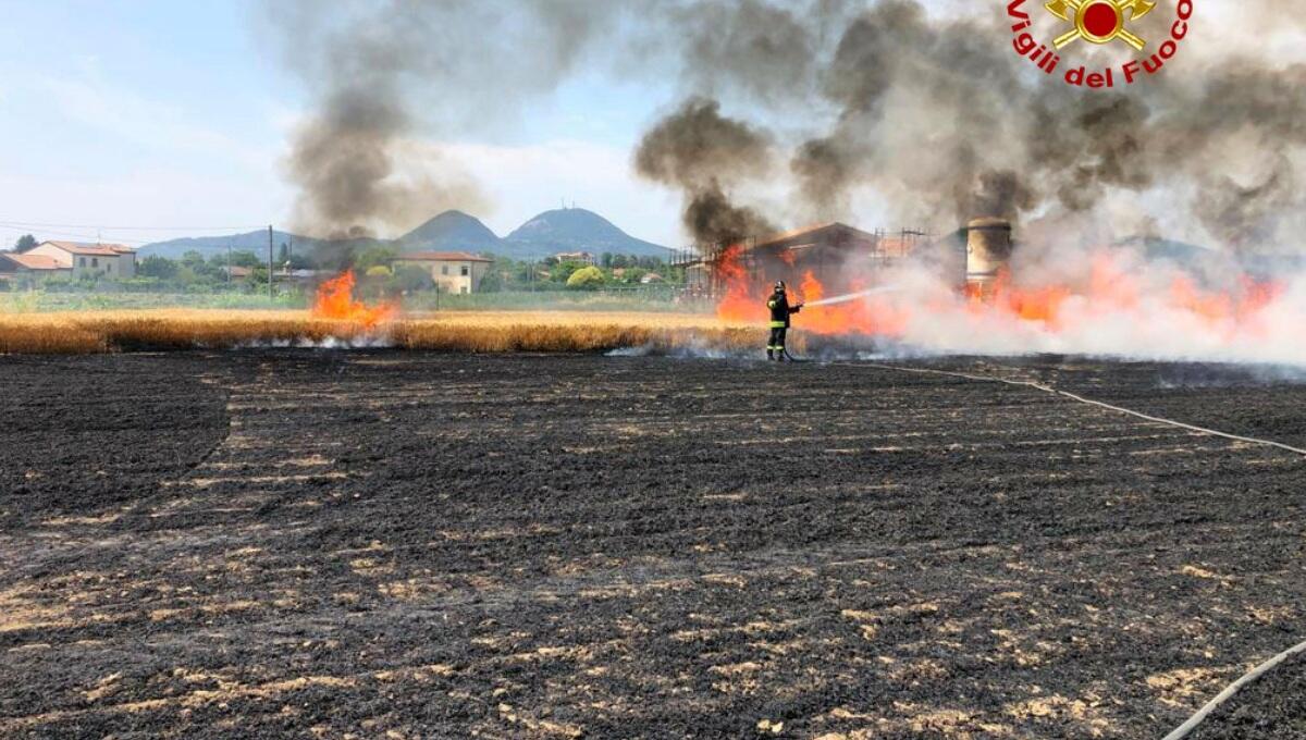 Allarme siccità, incendio distrugge un campo di orzo - 