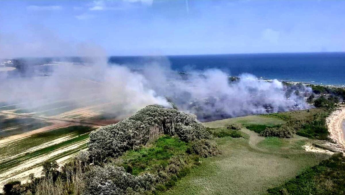 Incendio boschivo nella Laguna del Mort ad Eraclea - 
