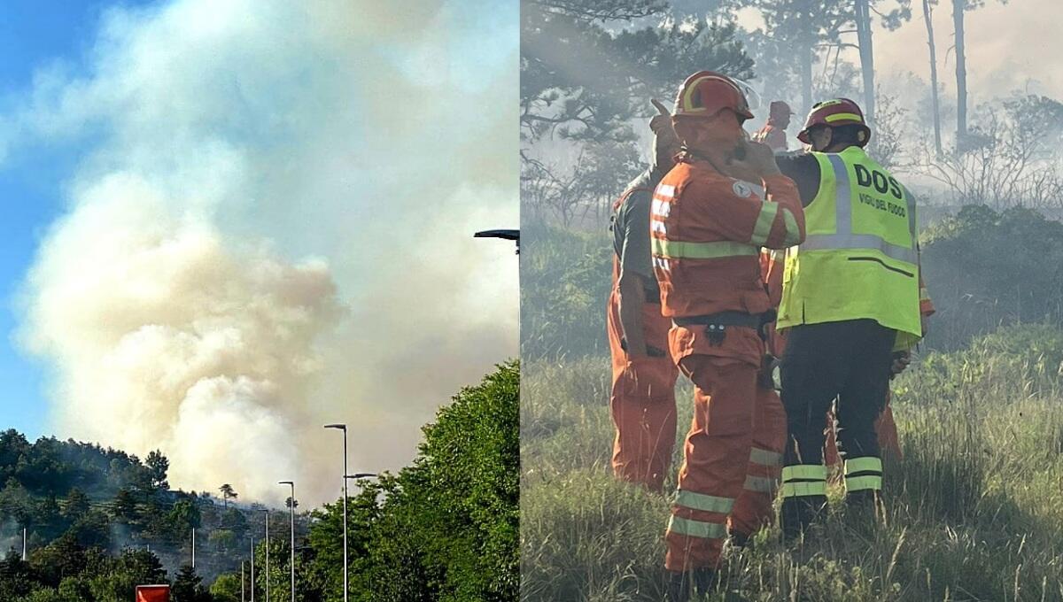 Vasto incendio boschivo sul Carso: chiusa la linea ferroviaria Monfalcone Trieste - 