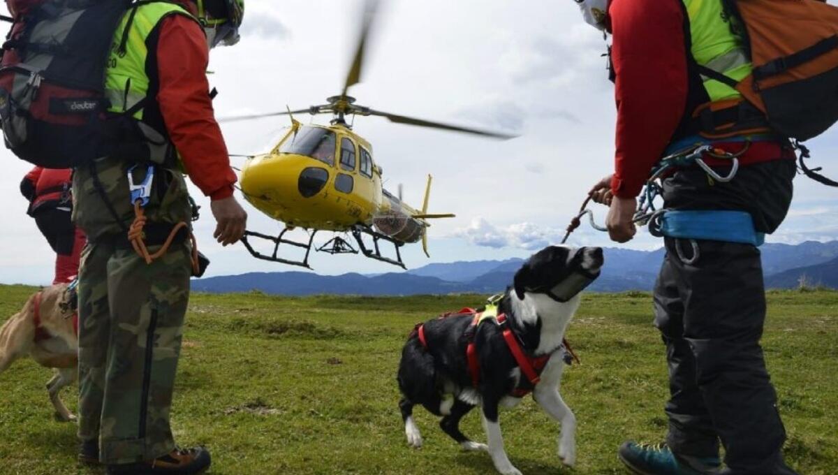 Non fa rientro a casa: scomparso 83enne di Val di Zoldo (BL) - 