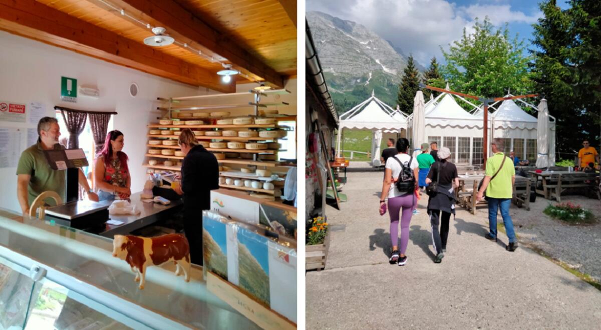 Riapre i battenti malga Montasio ed è subito presa d’assalto - 