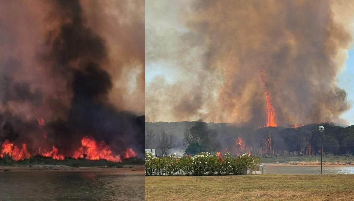 Incendio a Bibione, l'ombra del dolo: trovata una tanica di metallo - 