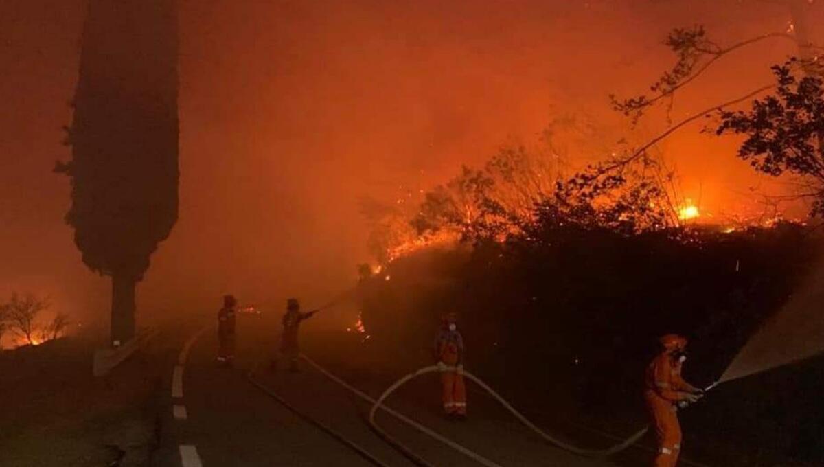 Incendi sul Carso: autostrada e ferrovia restano chiuse, Pm10 alle stelle - 
