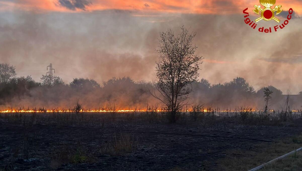 Incendio di vegetazione minaccia la zona industriale di Codroipo - 