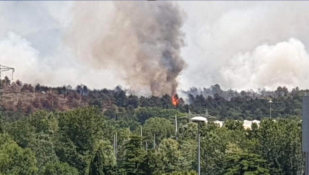Incendi sul Carso: "al momento bassi livelli pm10" - 