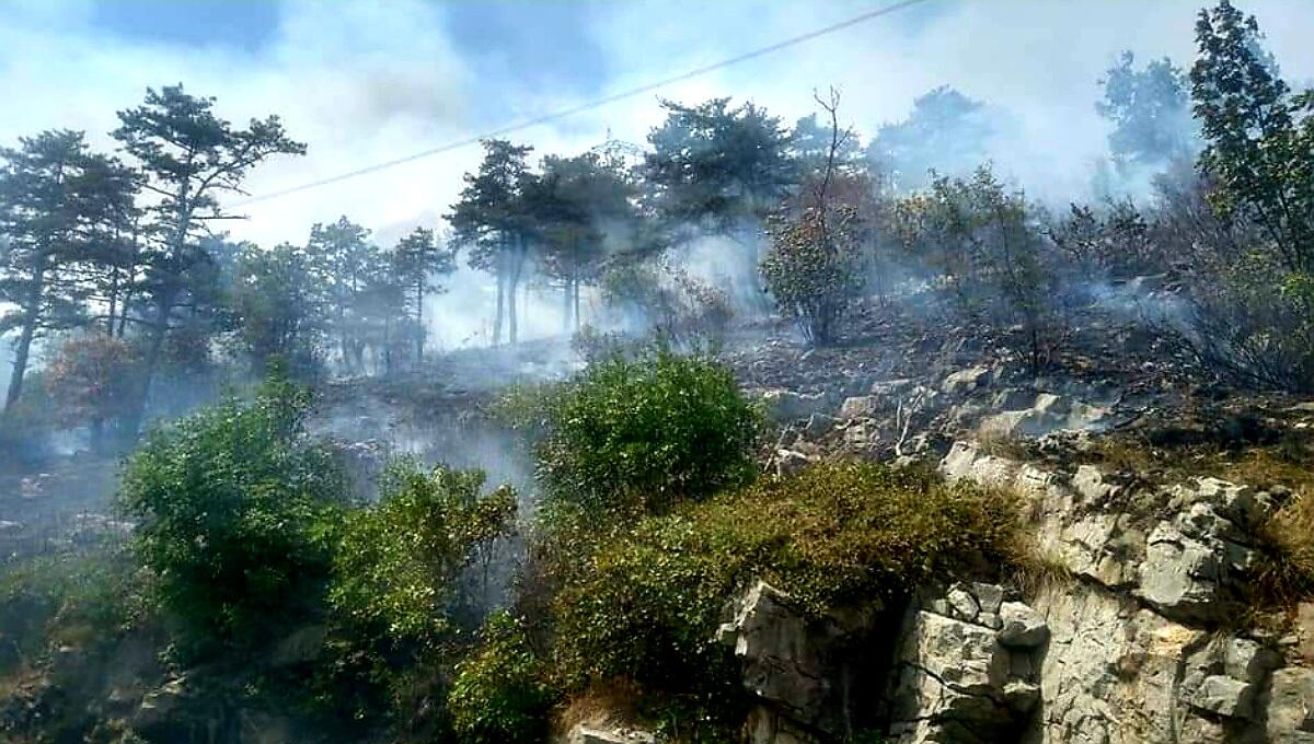 Nuovo incendio sul Carso goriziano in località Devetachi, monte Brestovec - 