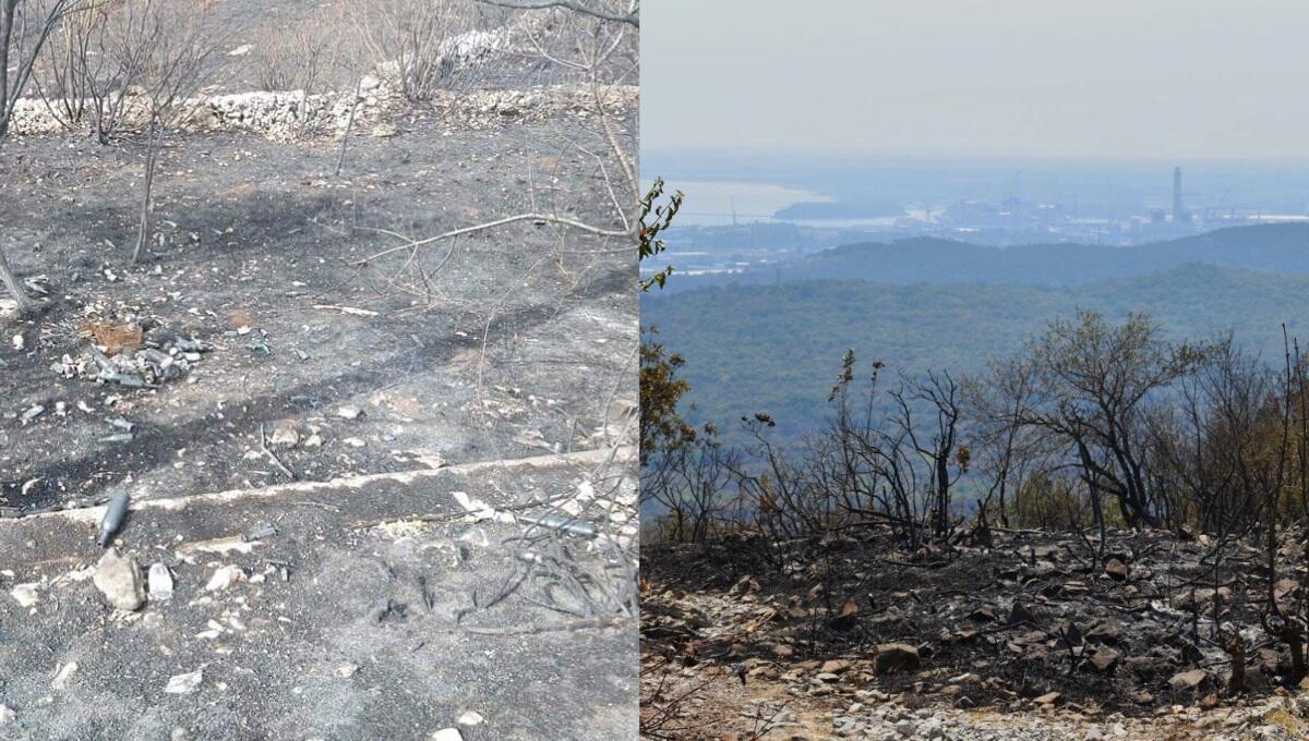 Sull'area devastata dagli incendi con la bici: cade e si ferisce seriamente - 