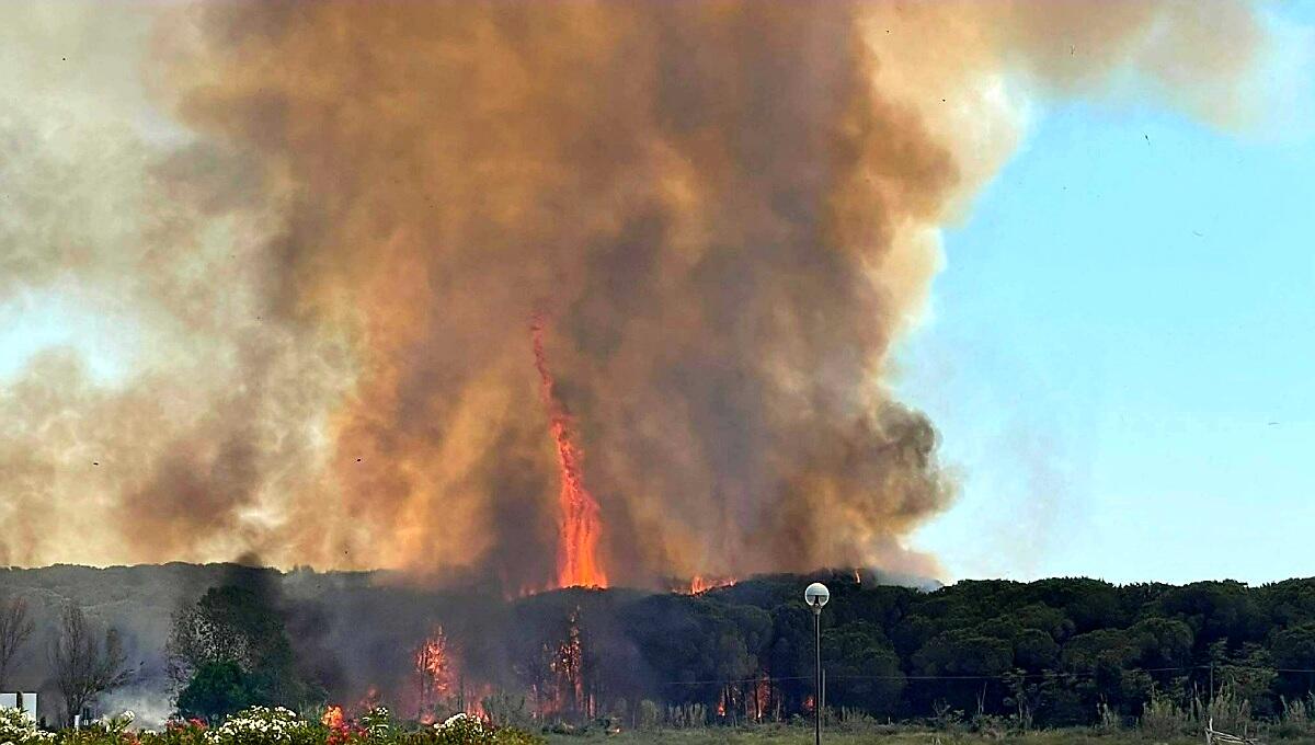 Incendio a Bibione, cenere e qualità dell'aria: monitoraggio in corso dall'Arpa Fvg - 