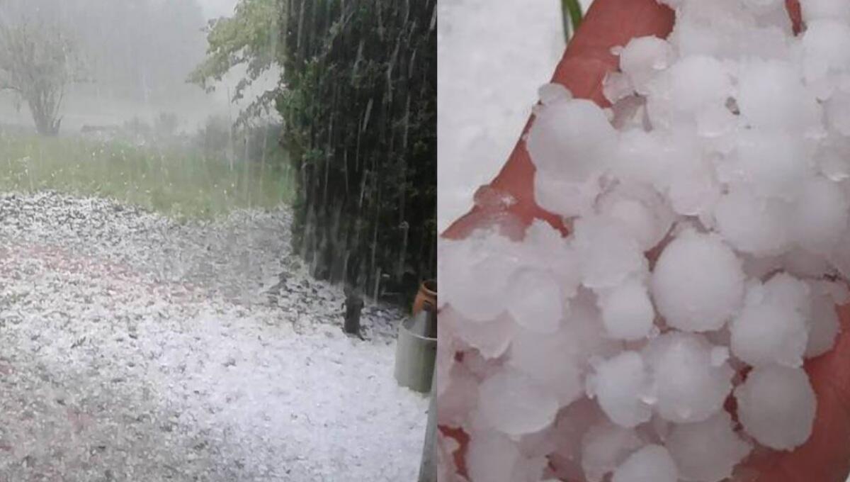 Forti temporali in Fvg: grandine, raffiche di vento, rami e alberi a terra - 