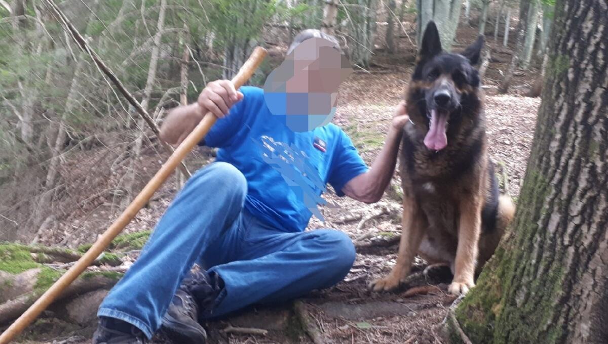 Cerca funghi nel bosco e si perde: 80enne trovato dal cane dei soccorritori - 