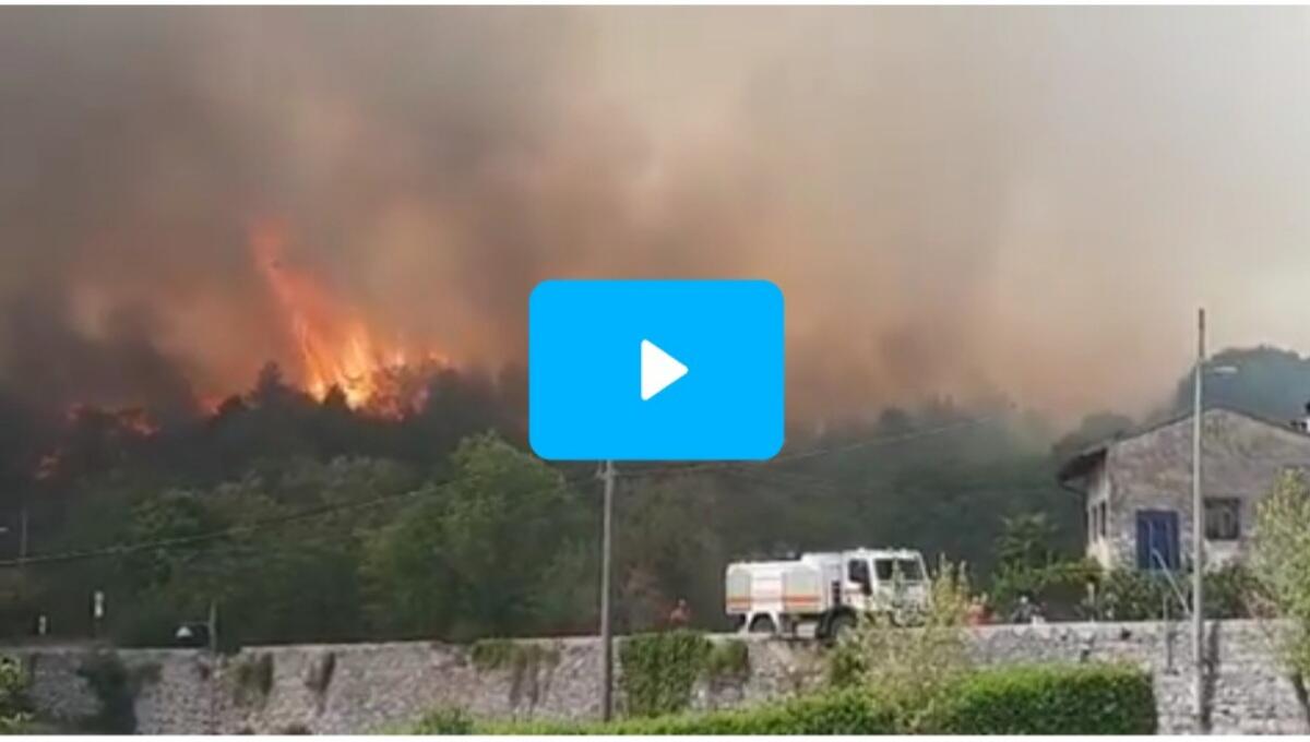 Sindaco di Gorizia: "è doloso il nuovo incendio sul Carso,  chi sa parli" - 