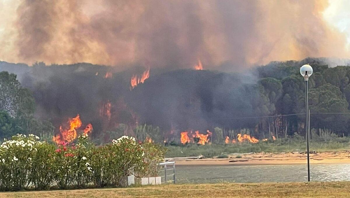 Incendio a Bibione: i primissimi dati rilevati dall'Arpa Fvg - 