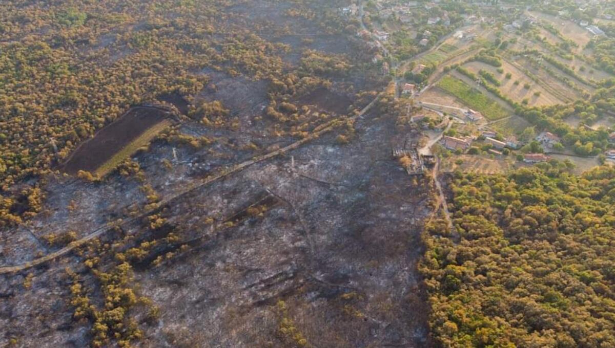 Sul Carso poca pioggia e vento sostenuto: riaccesi alcuni focolai - 