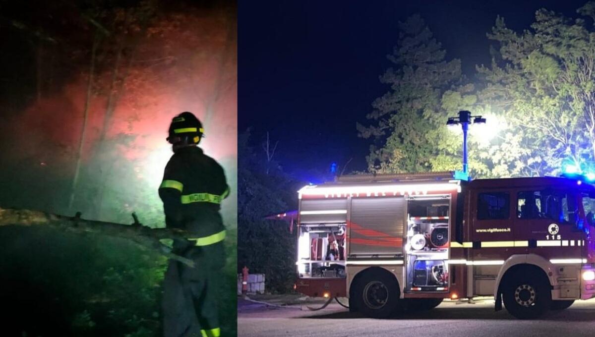 Incendio boschivo nei pressi della località di Sgonico - 