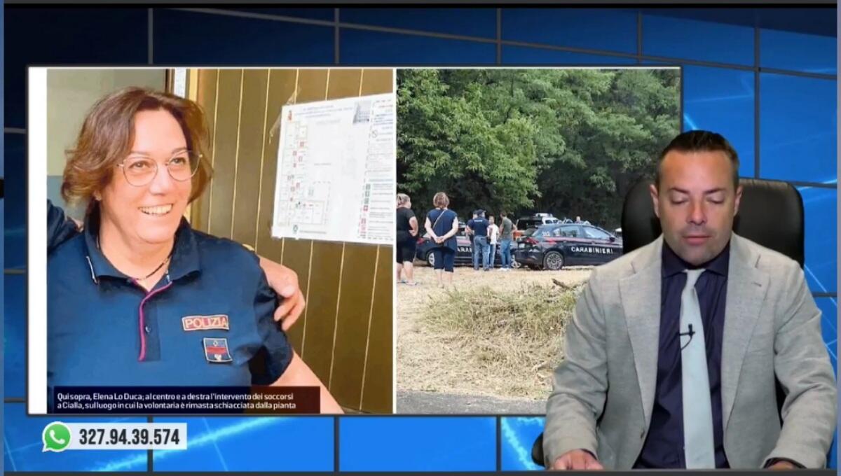 Travolta da un albero mentre spegne le fiamme. Rassegna stampa 22 luglio 2022 - 