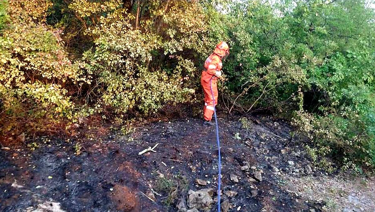 Protezione Civile: "incendio sul Carso finalmente sotto controllo" - 