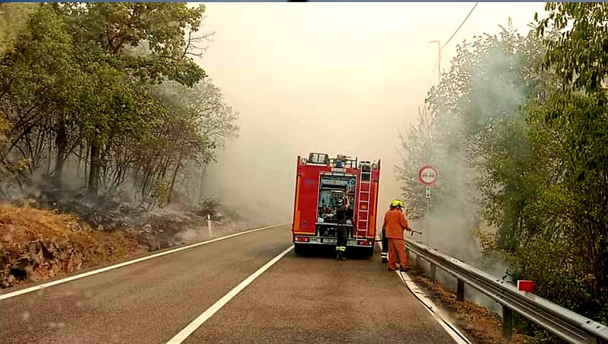 Incendio Carso, aggiornamento ore 8:00. Fincantieri chiuso anche oggi - 