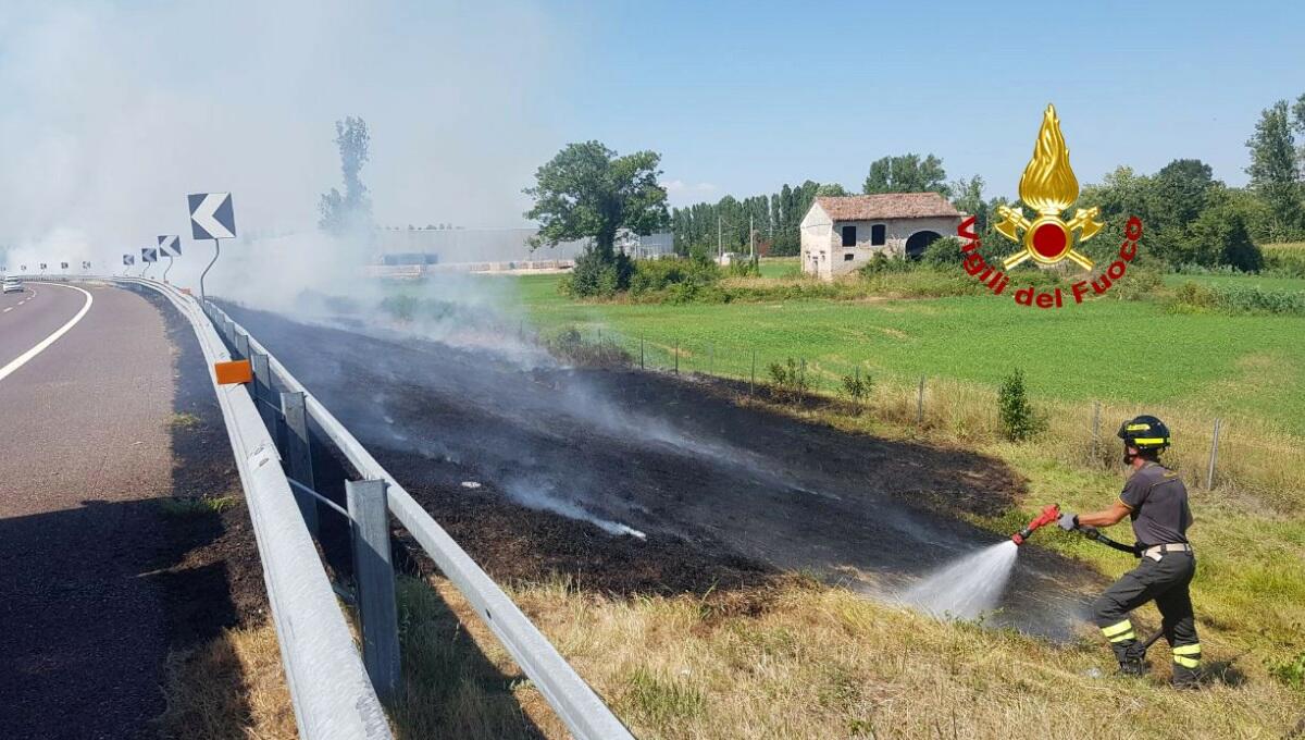Fiamme e fumo minacciano la corsia dell'autostrada: intervento dei pompieri - 