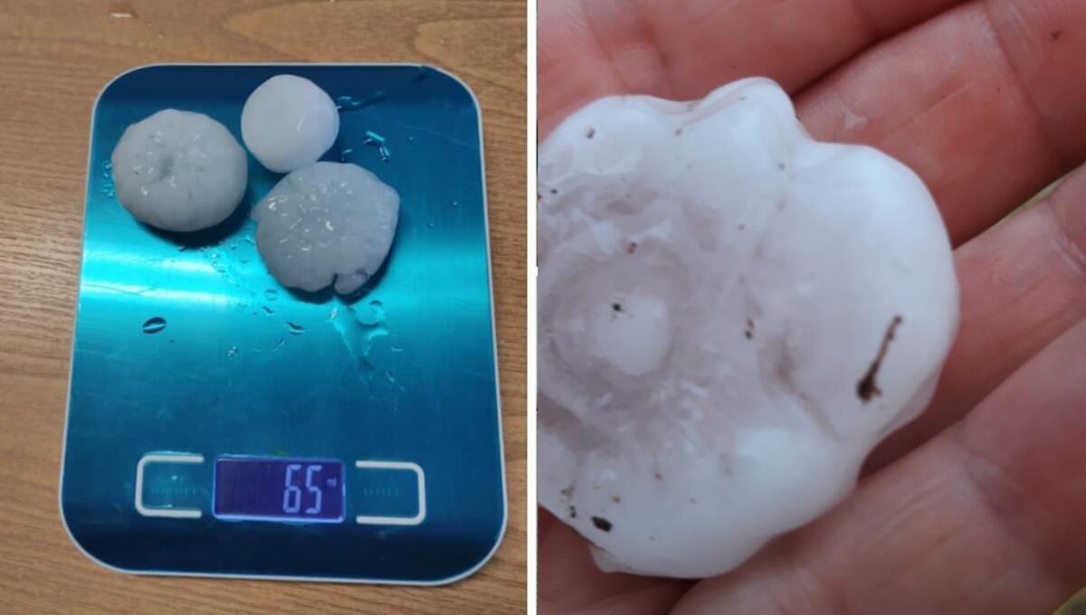 Maltempo a Padova e provincia: grandine, forte vento e alberi a terra - 